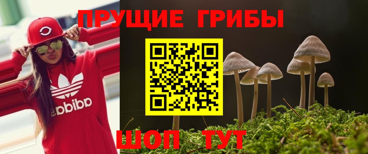 Галлюциногенные грибы GOLDEN TEACHER  Галлюциногенные грибы MAGIC MUSHROOMS  Вход с VPN  Бузулук 